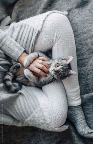 Stare col proprio cucciolo