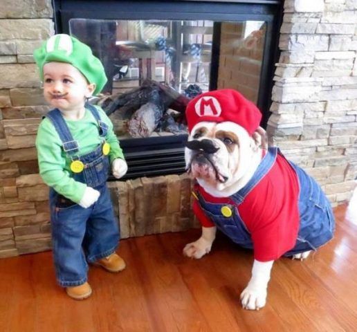 Mario Bross