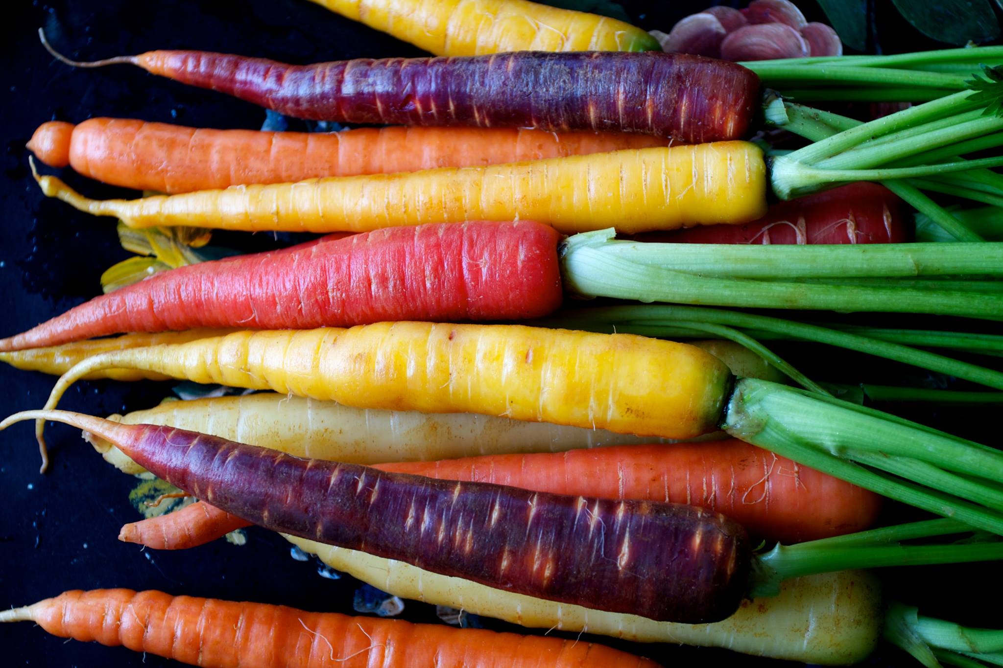 Volete dimagrire? Mangiate la carota viola