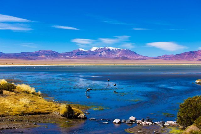 Bolivia