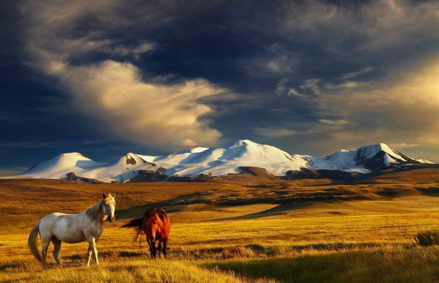 Mongolia
