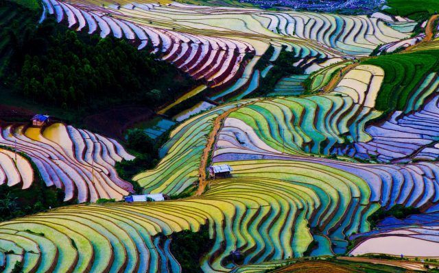 Vietnam