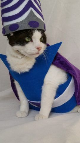 Mojo Jojo