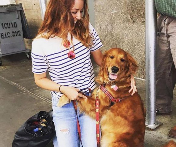 Louboutina, il Golden Retriever che abbraccia i passanti