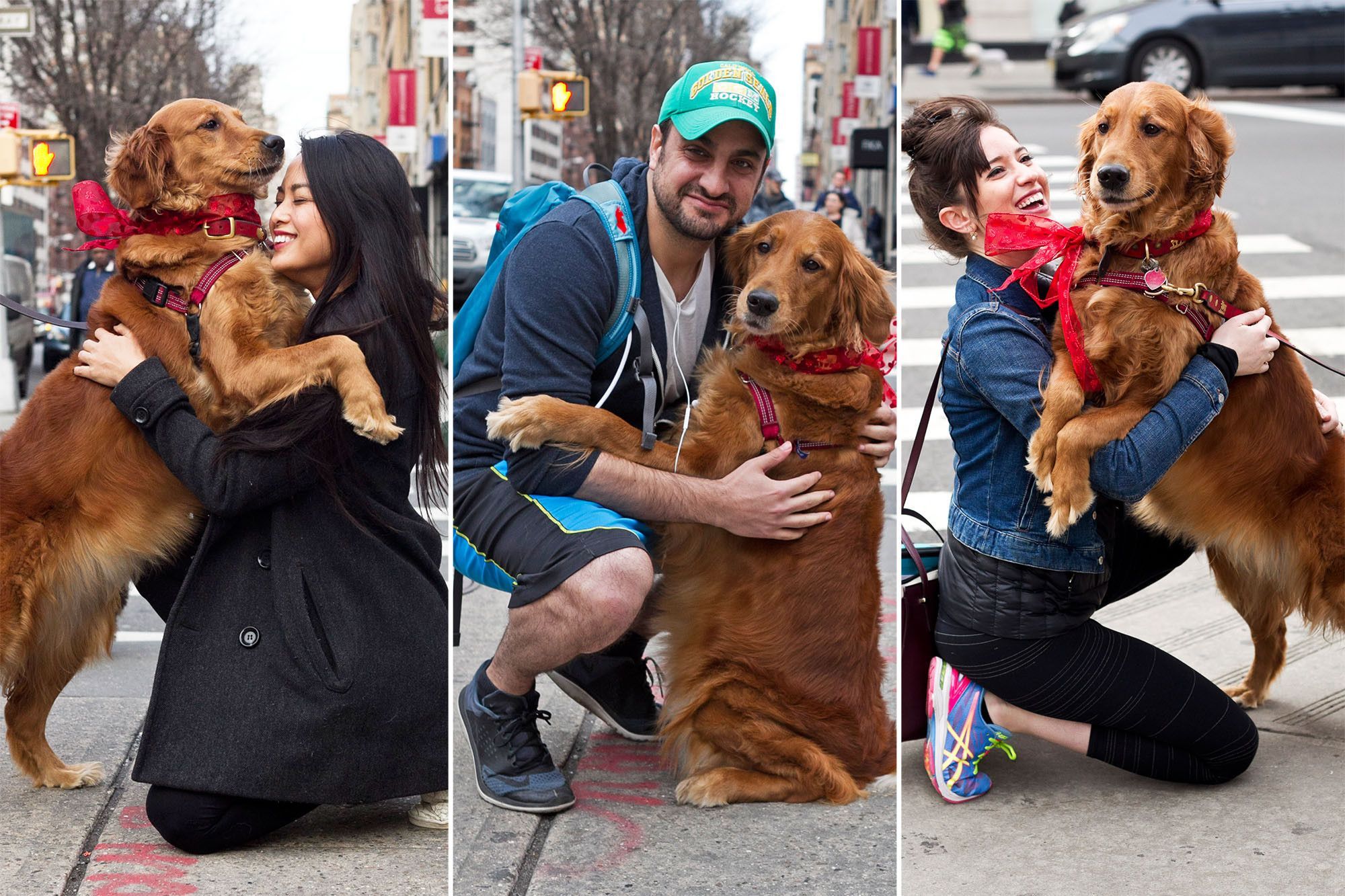 Il cane che non riesce a smettere di abbracciare chi incontra per strada