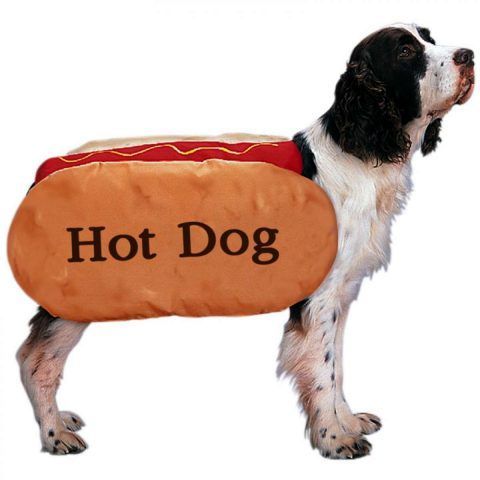 L'hot dog