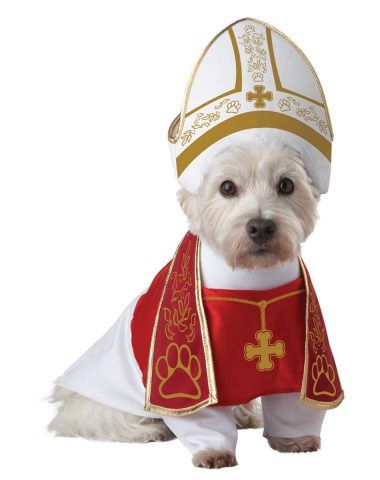 Papa