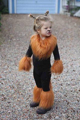 Costume di Carnevale fai da te: leone