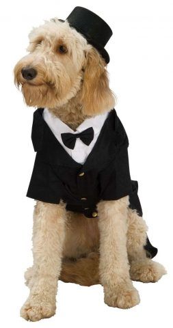 Elegante