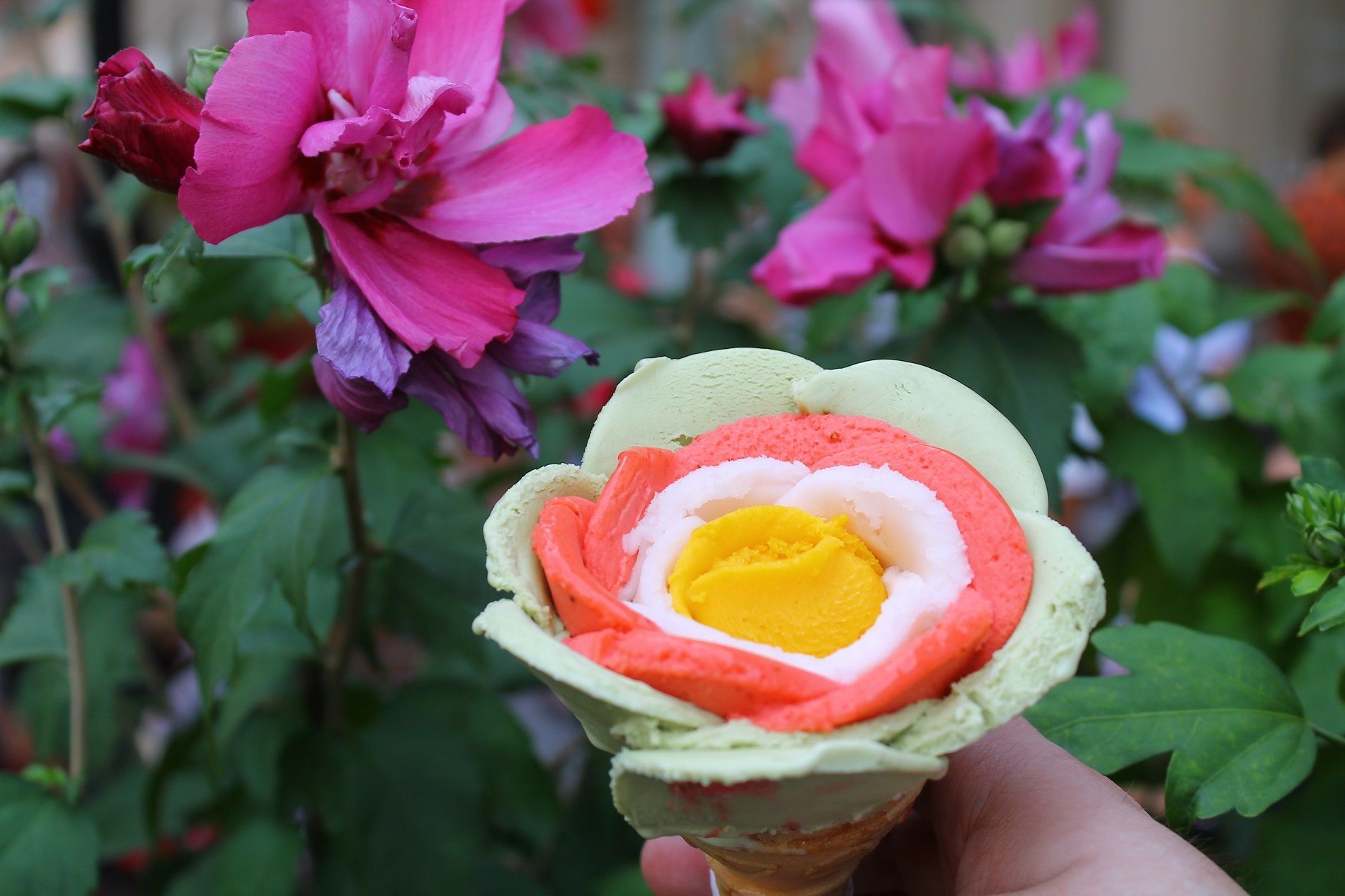 Come si realizza il gelato a forma di fiore