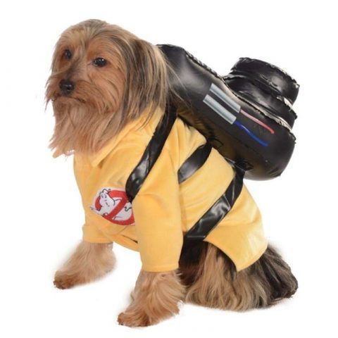 Ghostbuster