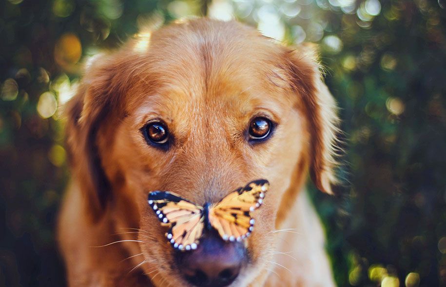 Quando scoprono la natura