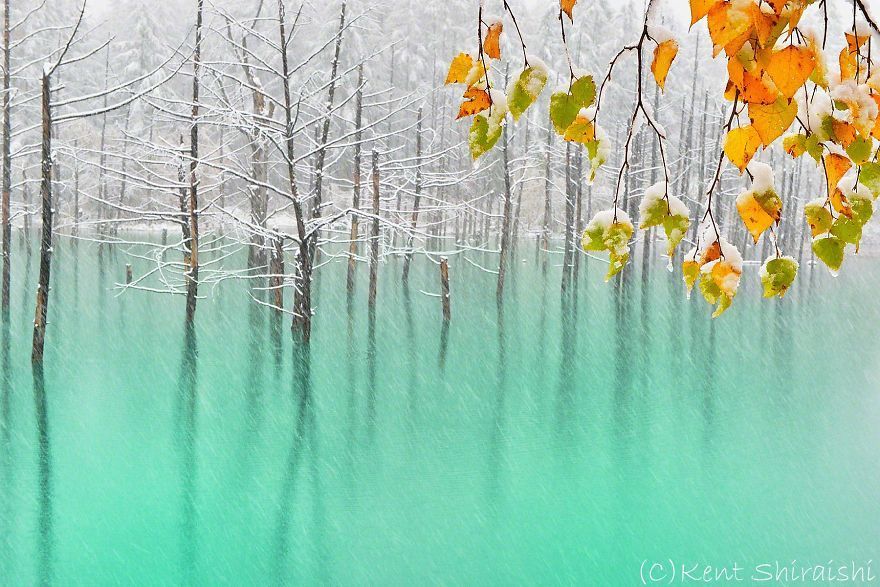 Il Blue Pond in autunno