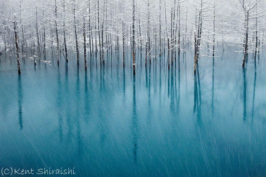 Blue Pond in inverno