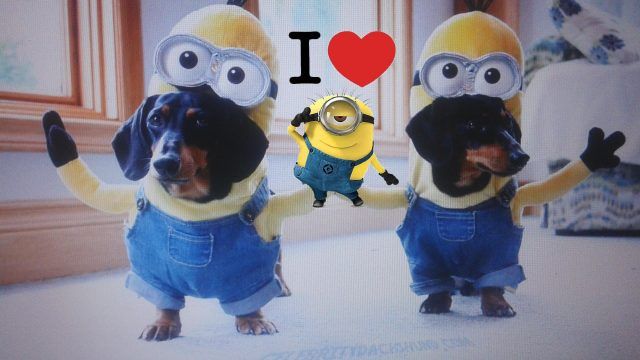 Minions