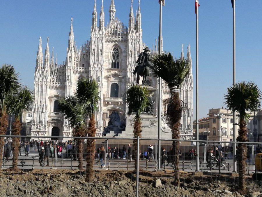 Palme in piazza Duomo