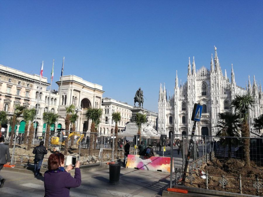 Le palme in piazza Duomo