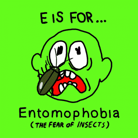 Entofobia, la paura degli insetti
