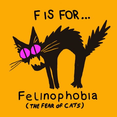 Felinofobia, la paura dei gatti