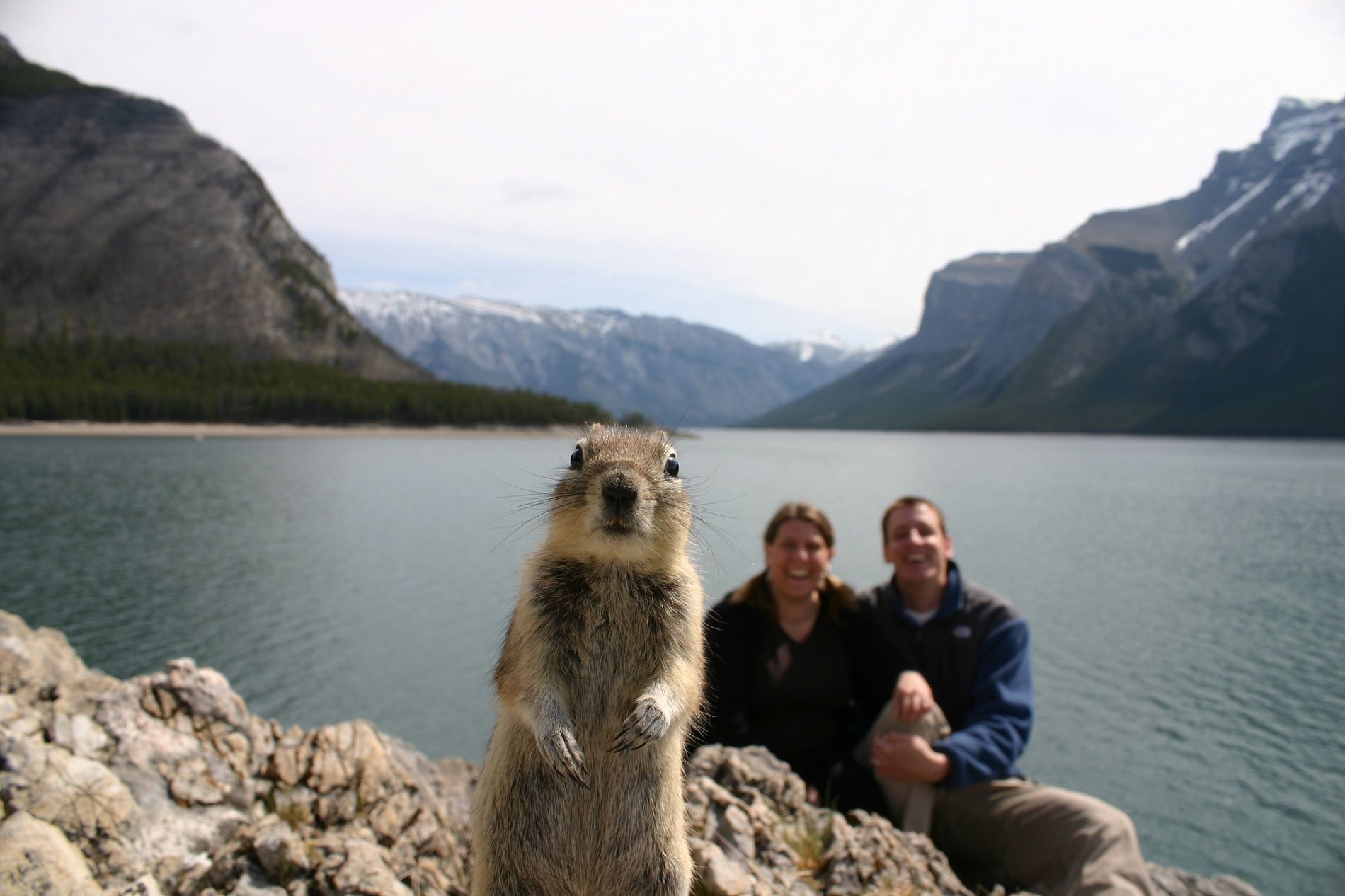 Photobooming con animali: le foto più divertenti