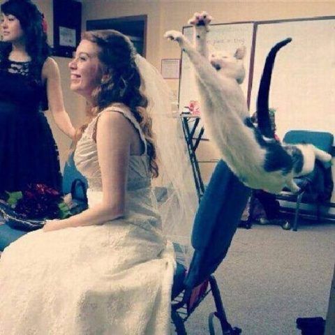 Foto alla sposa con intruso
