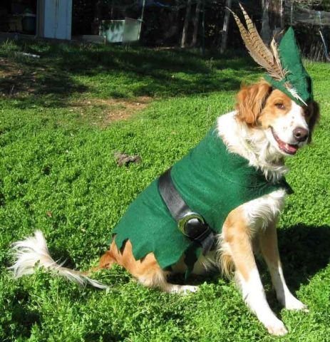 Robin hood