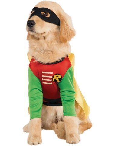 Robin