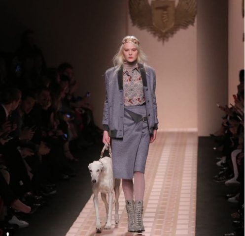Scarpe autunno-inverno 2017-2018 Trussardi