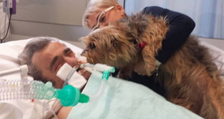 Cane in corsia dell’ospedale per accudire il suo proprietario