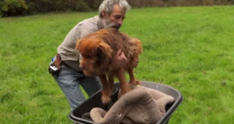 Ha vissuto 14 anni alla catena, ma oggi lui la porta a spasso sulla sua carriola