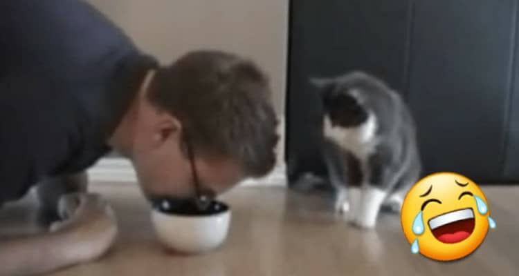 Finge di mangiare il cibo del suo gatto, la reazione del pelosetto è incredibile!