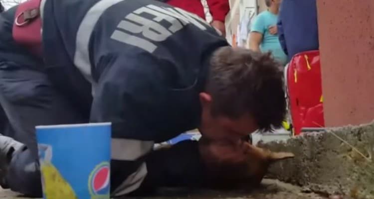 Cane rianimato da un pompiere con la respirazione bocca a bocca