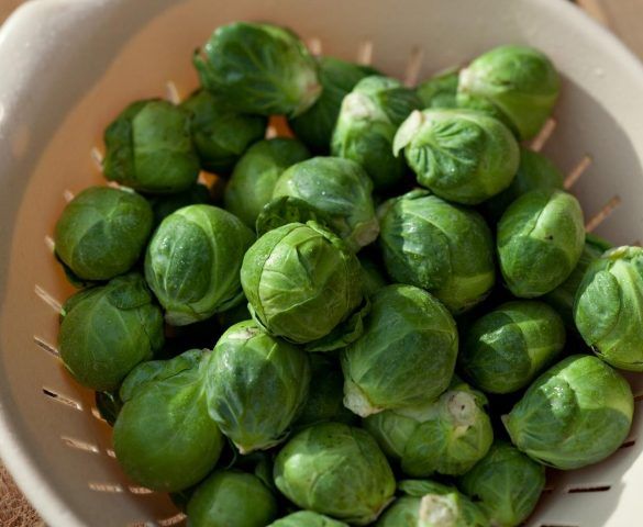 Cavolini di bruxelles