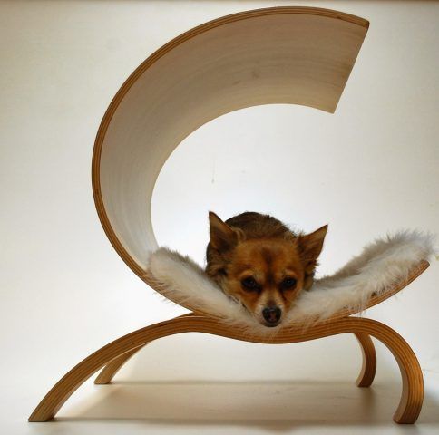 Dog Pod