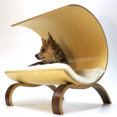 Dog Pod