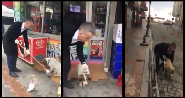 I gestori di un ristorante turco accudiscono due cani randagi