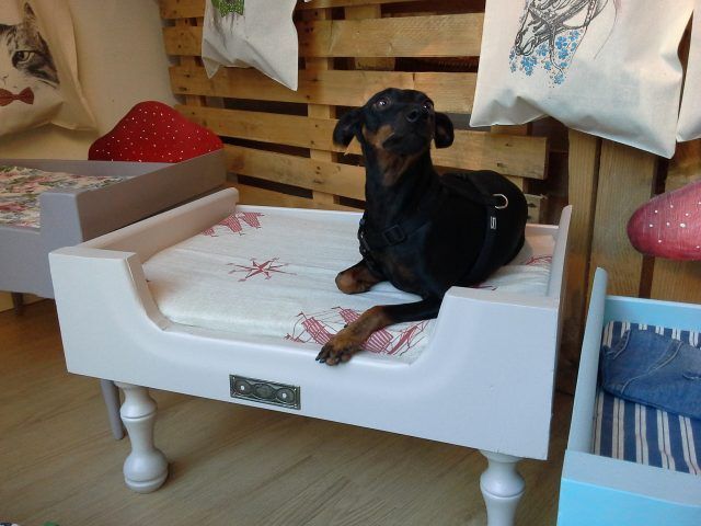 Cucce per cani