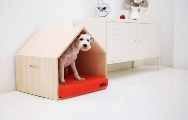 Cucce per cani