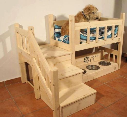 Cucce per cani