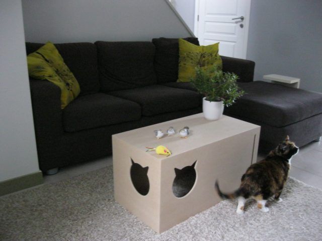 Cucce per gatti