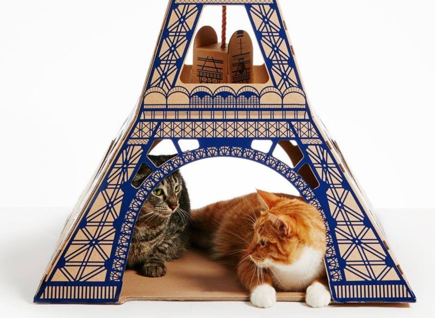 I gatti vivono nella Tour Eiffel