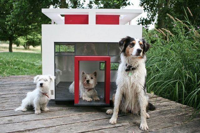 Cuccia di design per cani futuristica