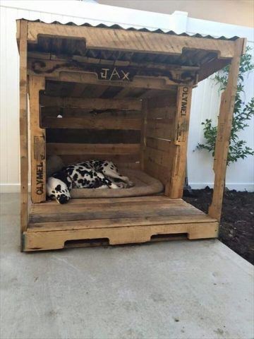 Cuccia di design per cani rustica