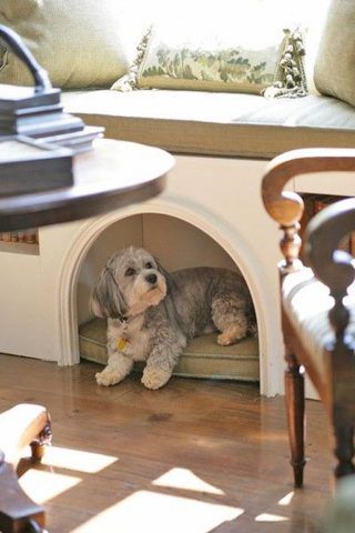 Cuccia di design per cani salvaspazio