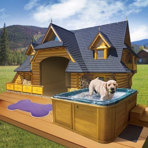 Cuccia di design per cani con piscina