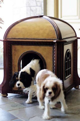 Cuccia di design per cani a regale