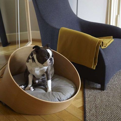 Cucce per cani