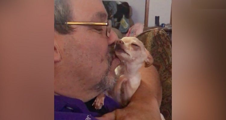 La piccola chihuahua non smette di baciare il suo umano