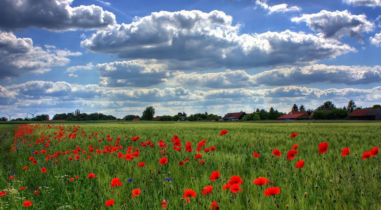 Gli integratori naturali utili per sopravvivere alla primavera