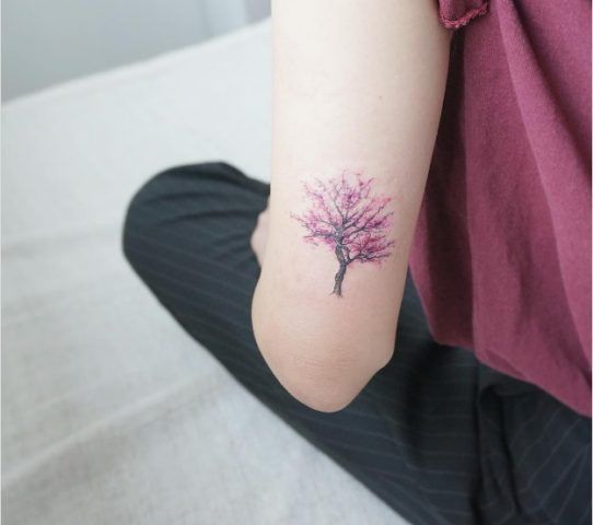 Albero colorato